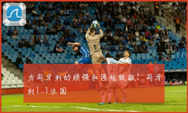 为匈牙利的顽强和团结致敬！匈牙利1_1法国