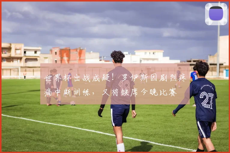 世界杯出战成疑！罗伊斯因剧烈疼痛中断训练，又将缺席今晚比赛