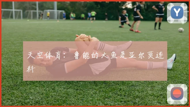 天空体育：鲁能的大鱼是亚尔莫连科