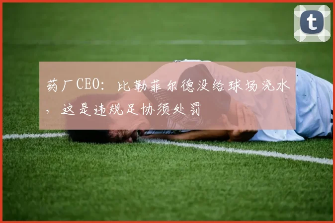 药厂CEO：比勒菲尔德没给球场浇水，这是违规足协须处罚