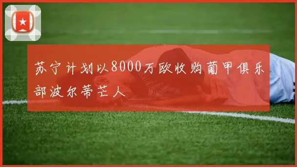 苏宁计划以8000万欧收购葡甲俱乐部波尔蒂芒人