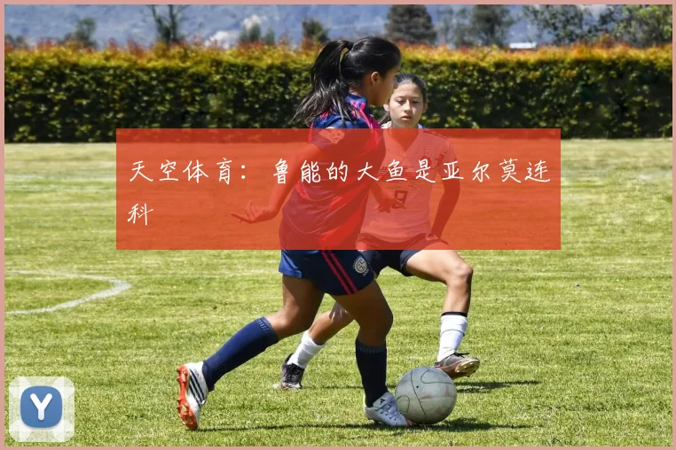 天空体育：鲁能的大鱼是亚尔莫连科