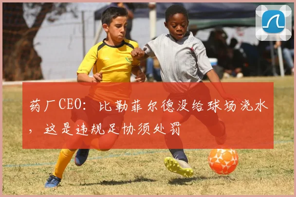 药厂CEO：比勒菲尔德没给球场浇水，这是违规足协须处罚