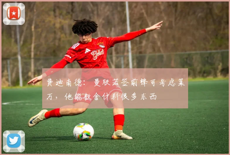 费迪南德：曼联若签前锋可考虑莱万，他能教舍什科很多东西