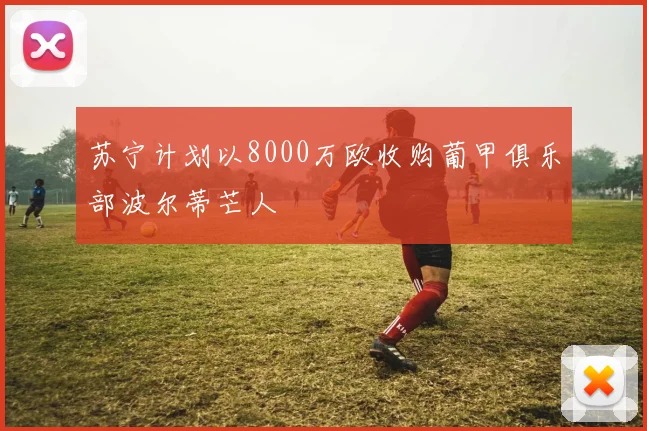 苏宁计划以8000万欧收购葡甲俱乐部波尔蒂芒人