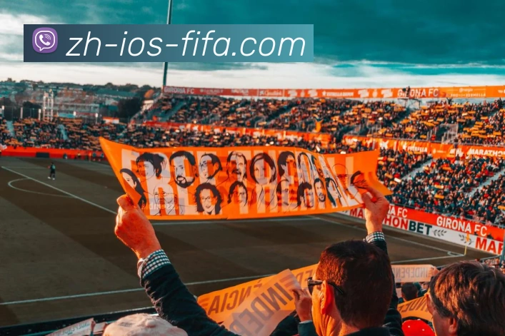 2026世界杯APP平台生态图